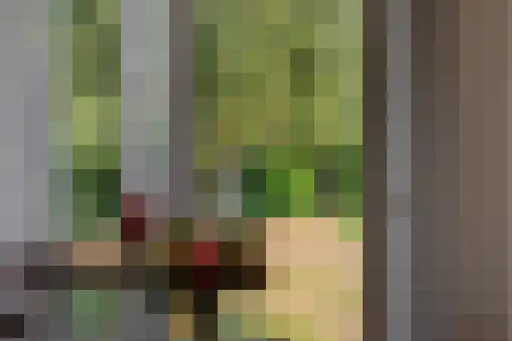 Molenweg 20 Lithoijen thumbnail 7