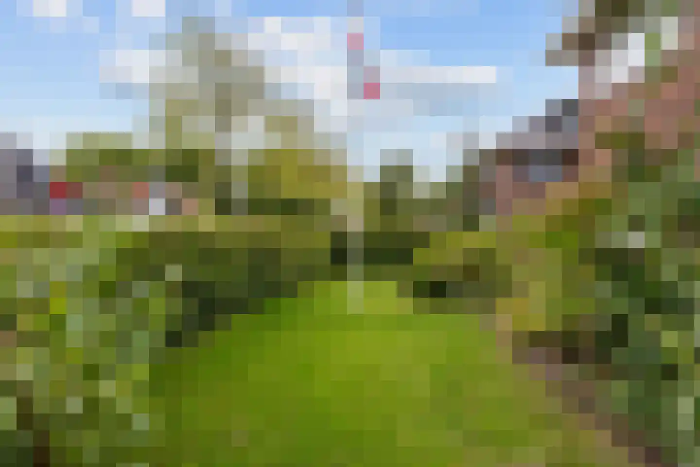 Molenweg 20 Loppersum thumbnail 10