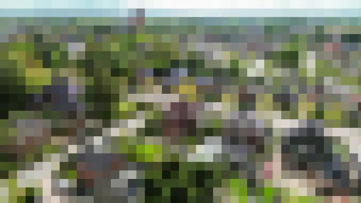 Molenweg 20 Loppersum thumbnail 104