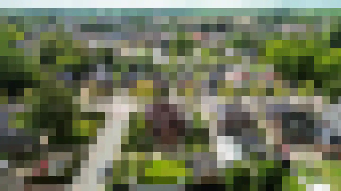 Molenweg 20 Loppersum thumbnail 105