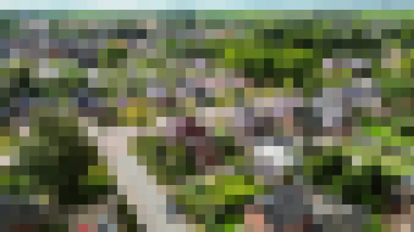 Molenweg 20 Loppersum thumbnail 106