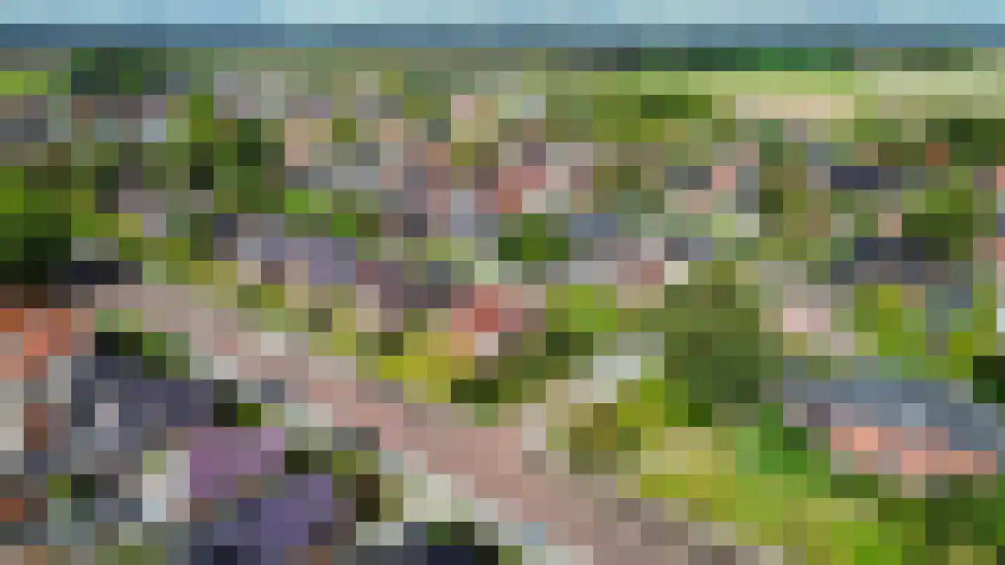 Molenweg 20 Loppersum thumbnail 107