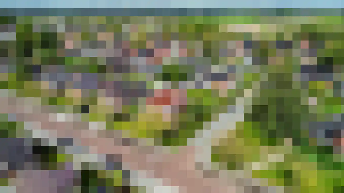 Molenweg 20 Loppersum thumbnail 108