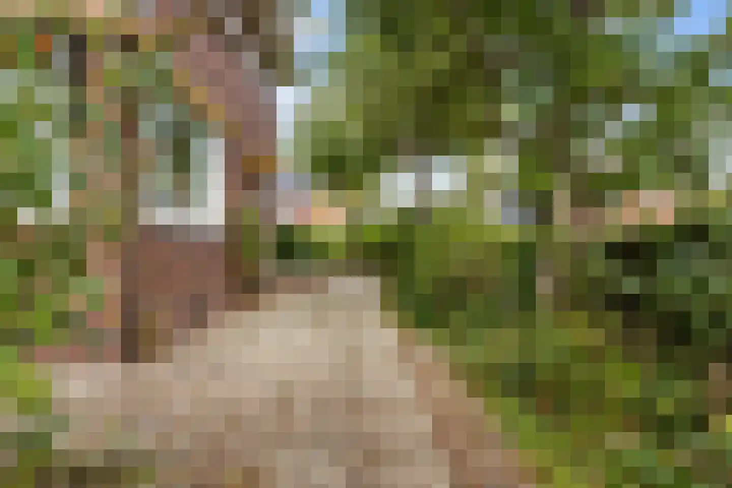 Molenweg 20 Loppersum thumbnail 11