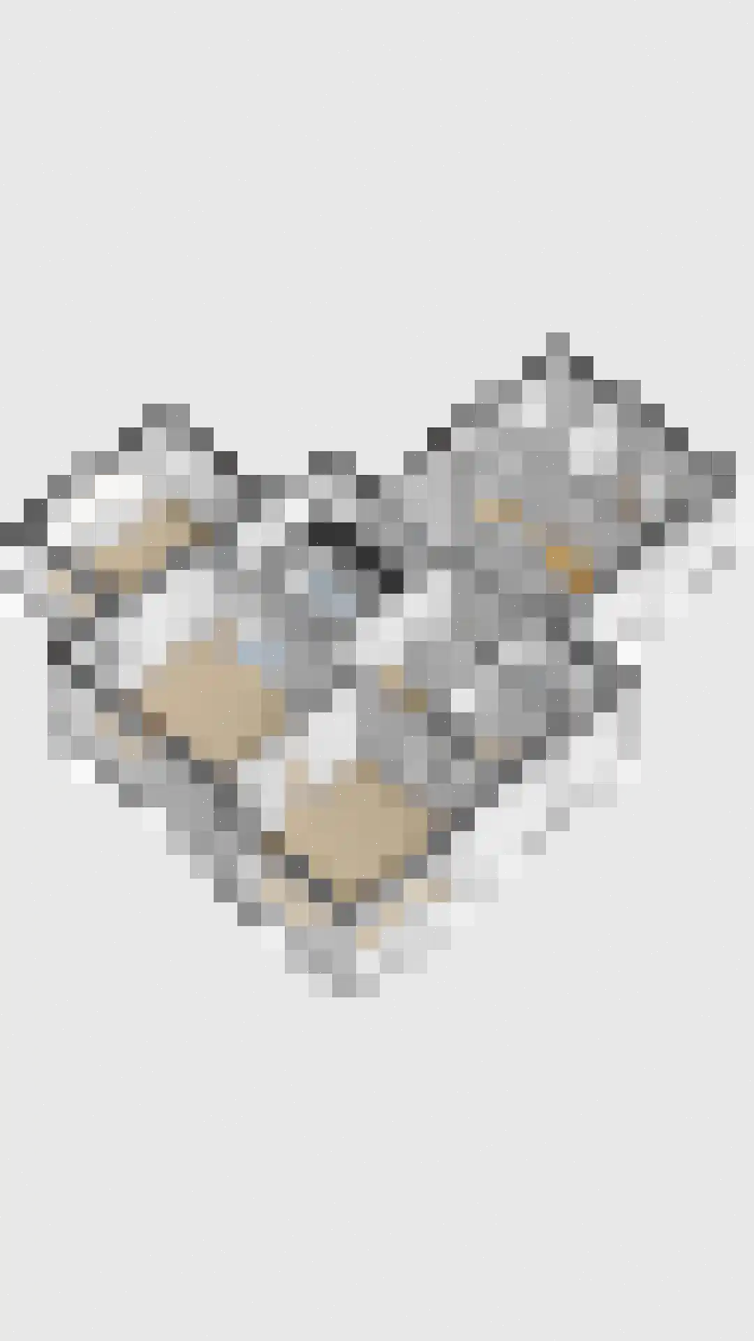 Molenweg 20 Loppersum thumbnail 111