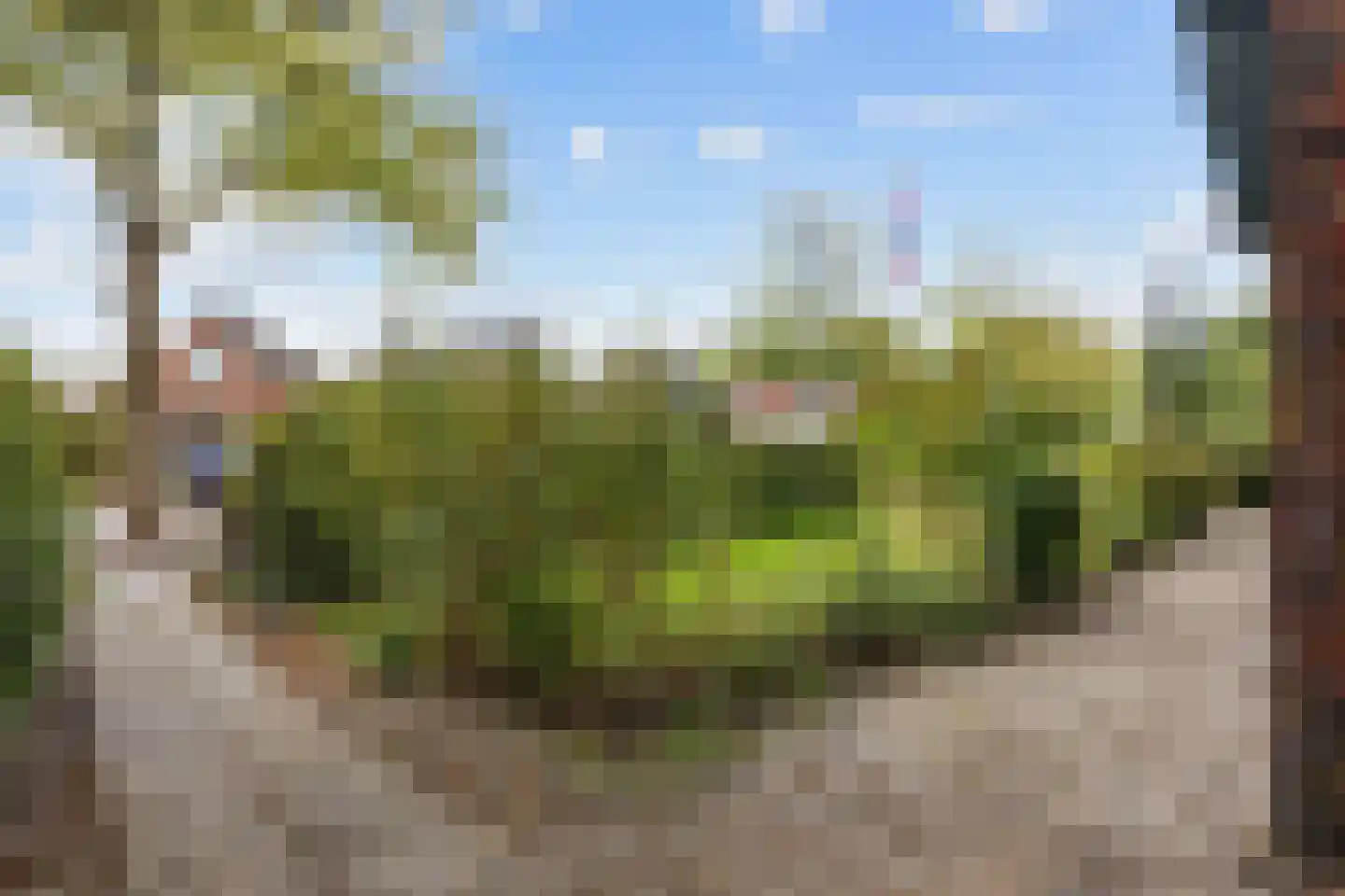 Molenweg 20 Loppersum thumbnail 12