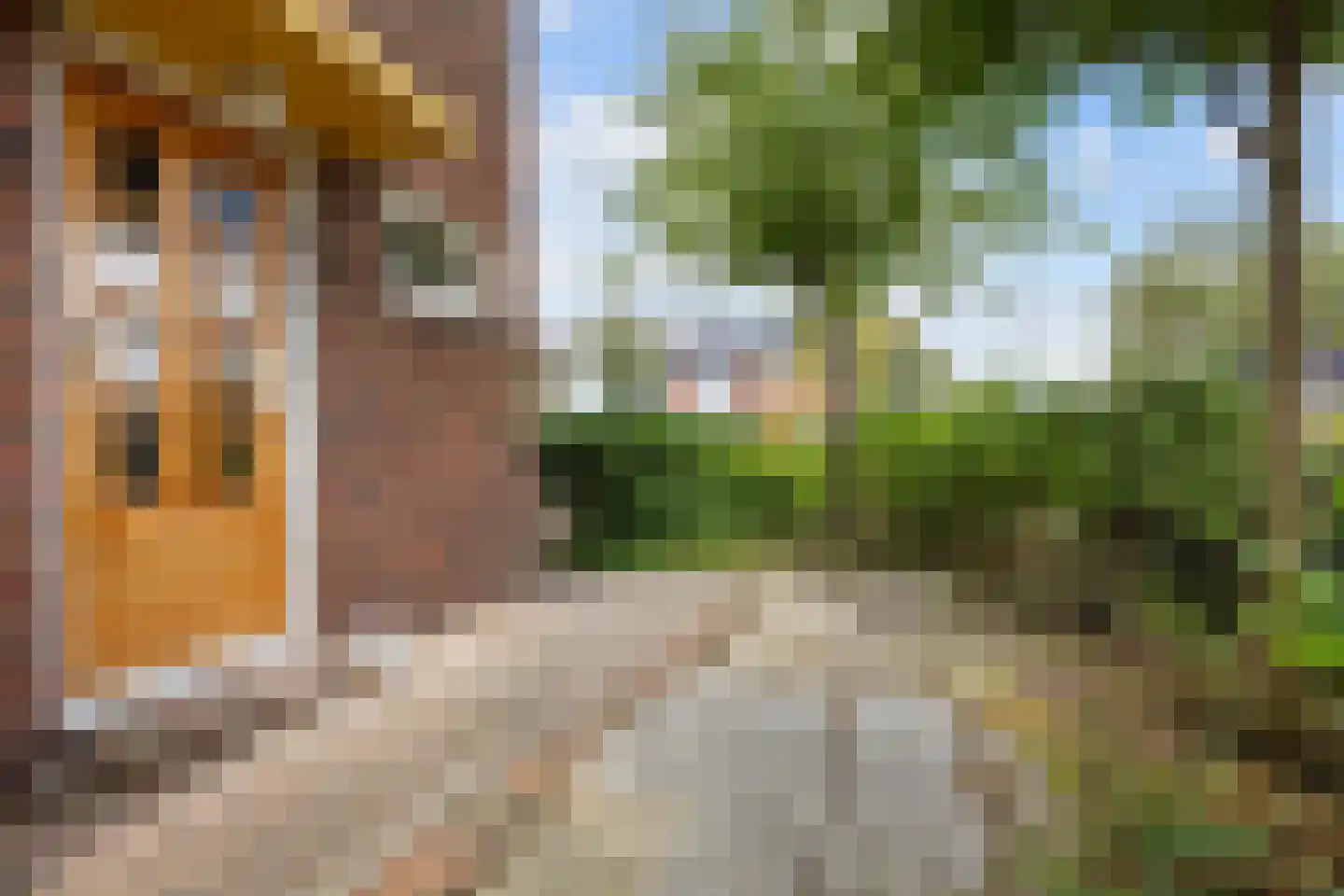 Molenweg 20 Loppersum thumbnail 13