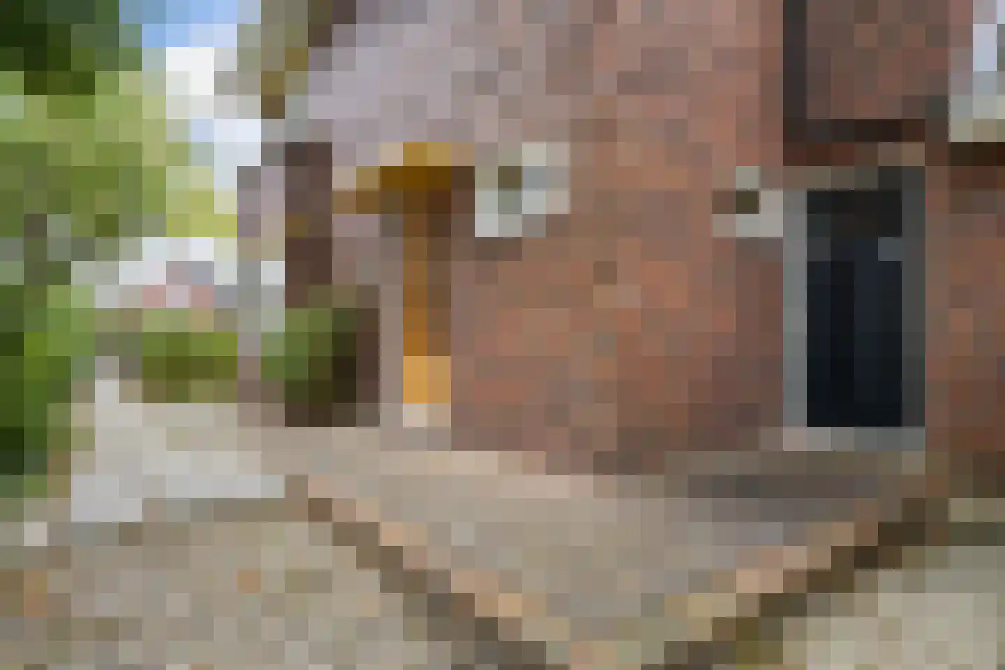 Molenweg 20 Loppersum thumbnail 14