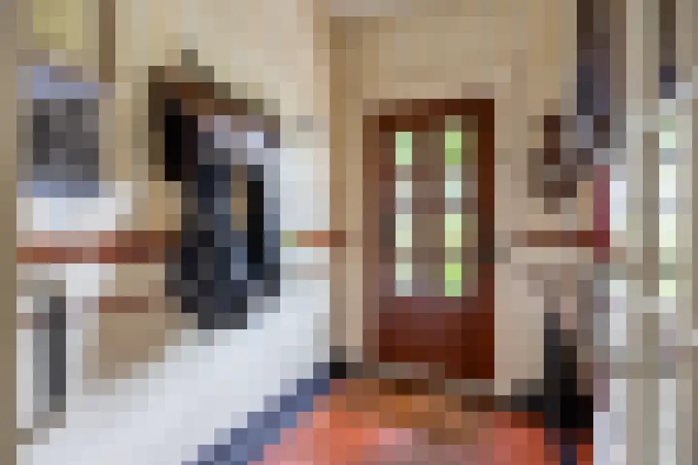 Molenweg 20 Loppersum thumbnail 15