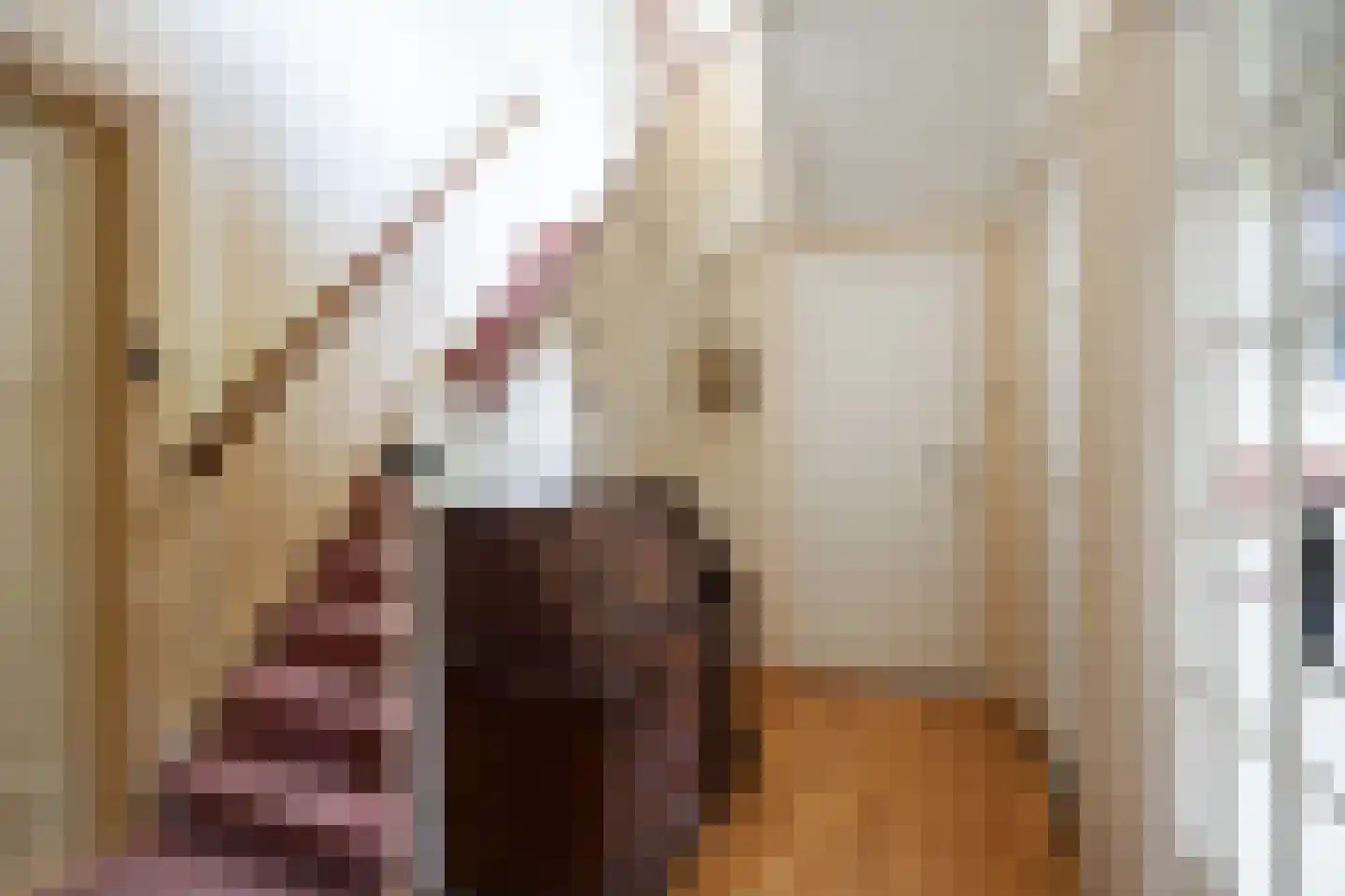Molenweg 20 Loppersum thumbnail 17