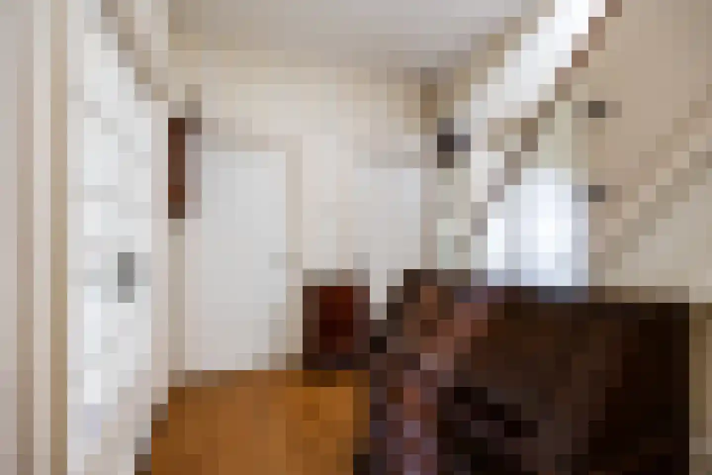 Molenweg 20 Loppersum thumbnail 18