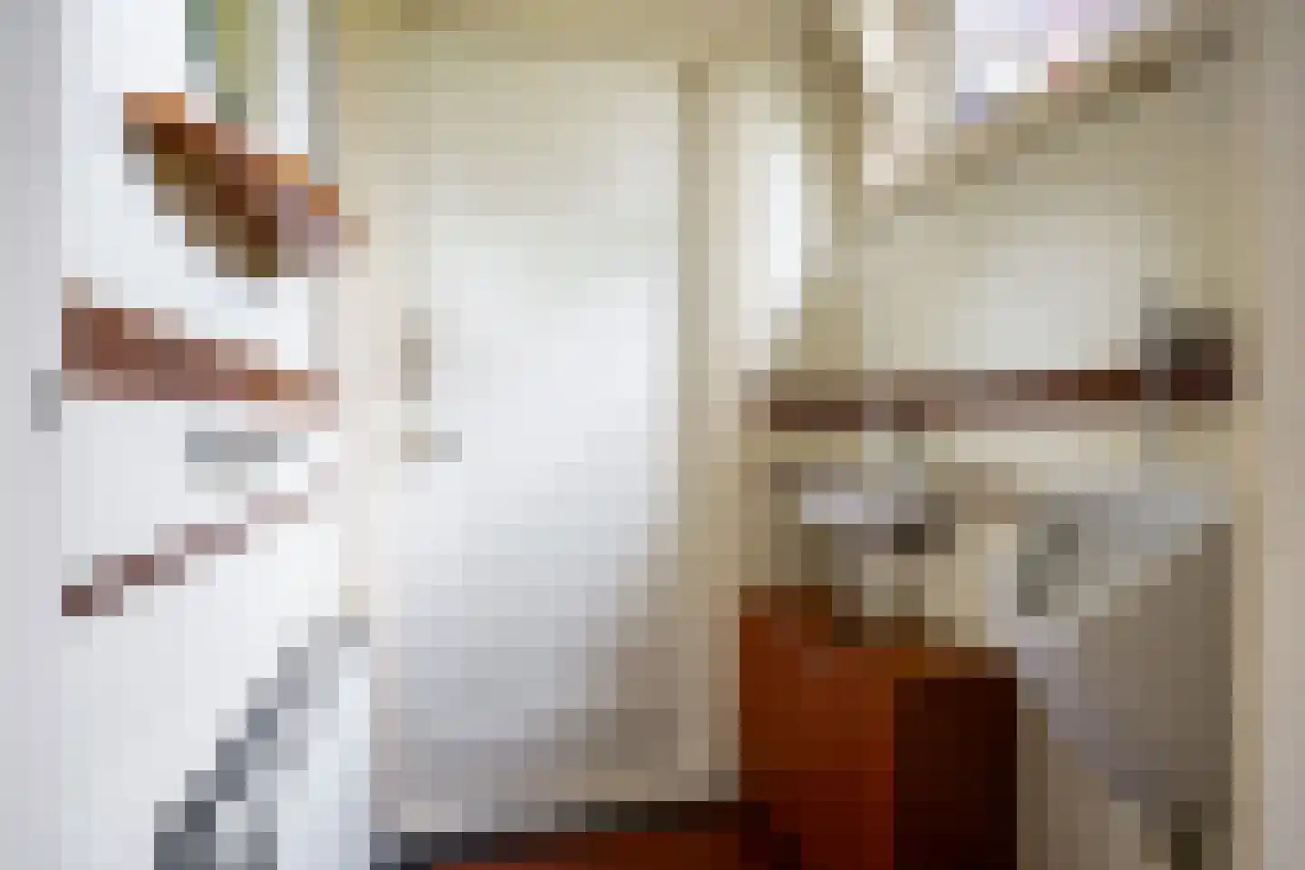 Molenweg 20 Loppersum thumbnail 22