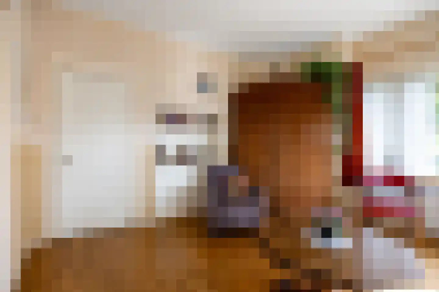 Molenweg 20 Loppersum thumbnail 26