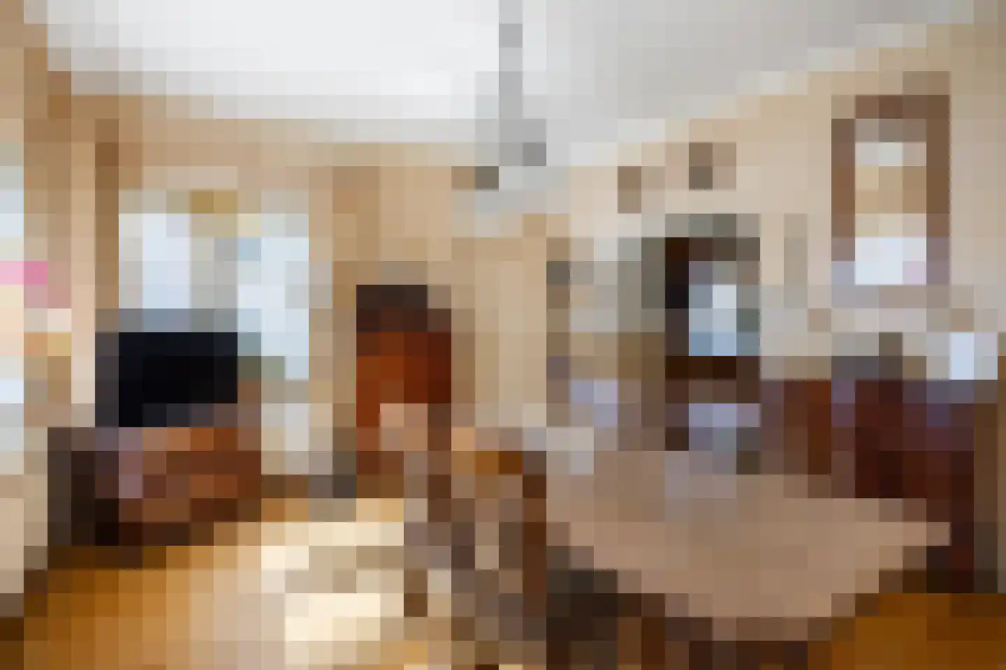 Molenweg 20 Loppersum thumbnail 32