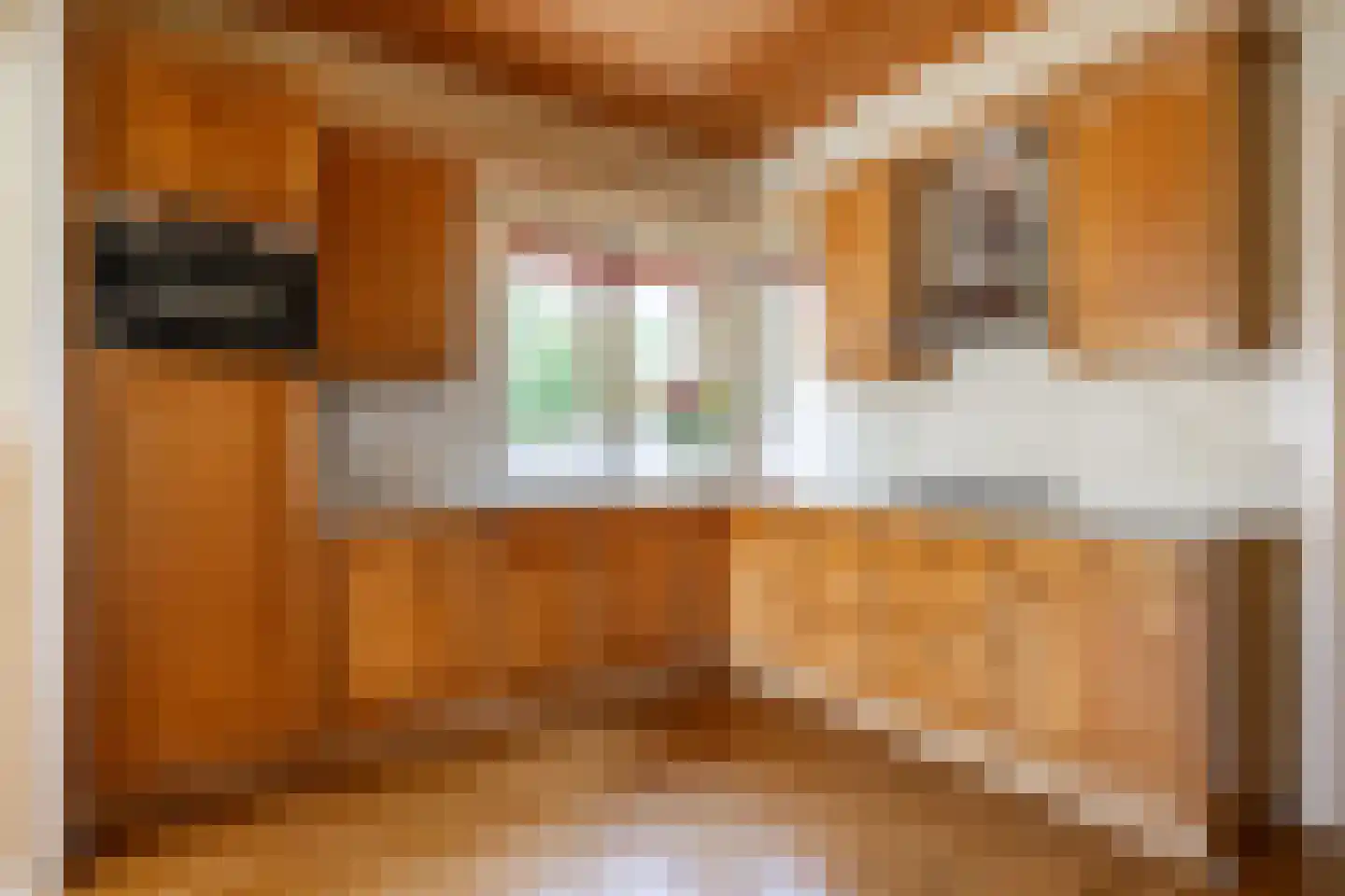 Molenweg 20 Loppersum thumbnail 38