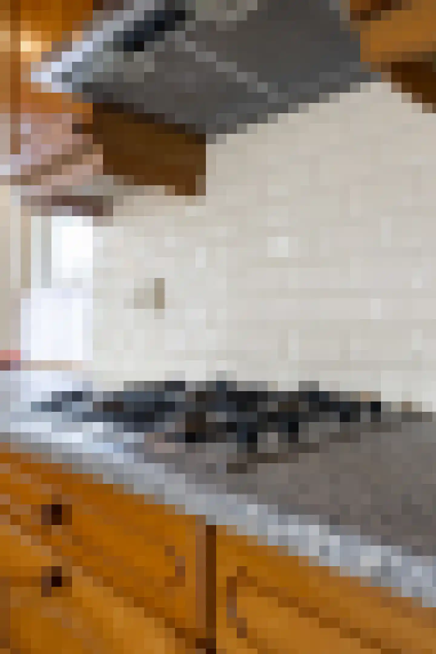 Molenweg 20 Loppersum thumbnail 39