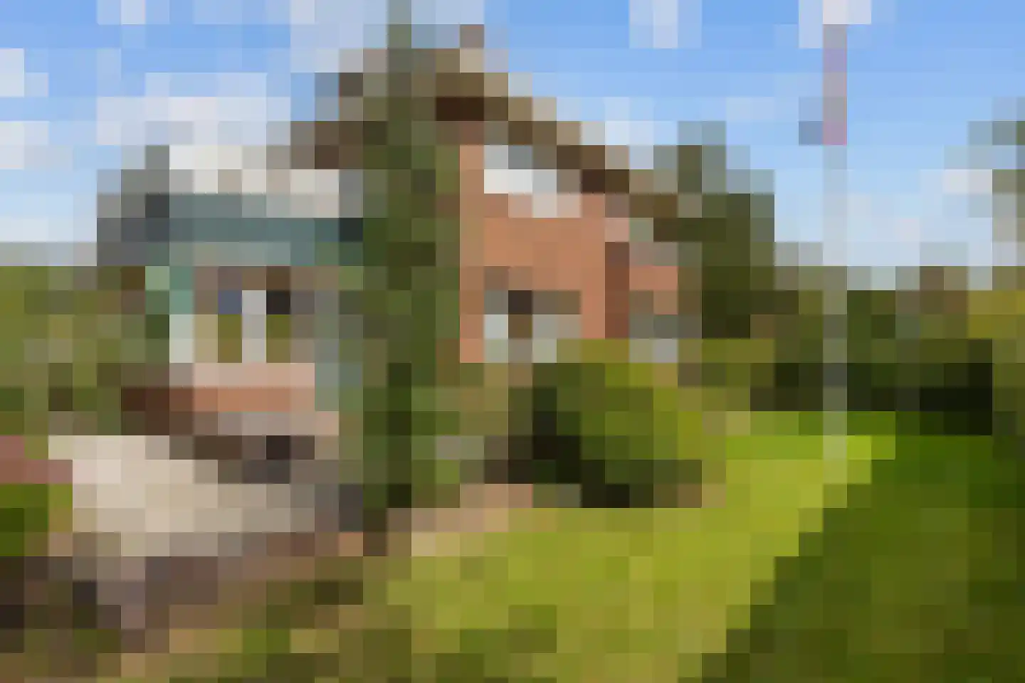 Molenweg 20 Loppersum thumbnail 4