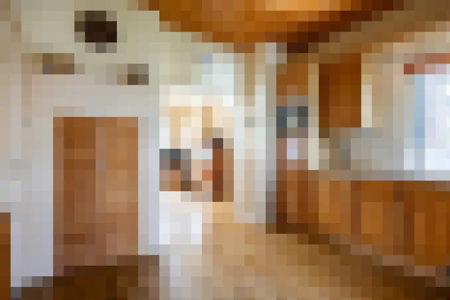 Molenweg 20 Loppersum thumbnail 40