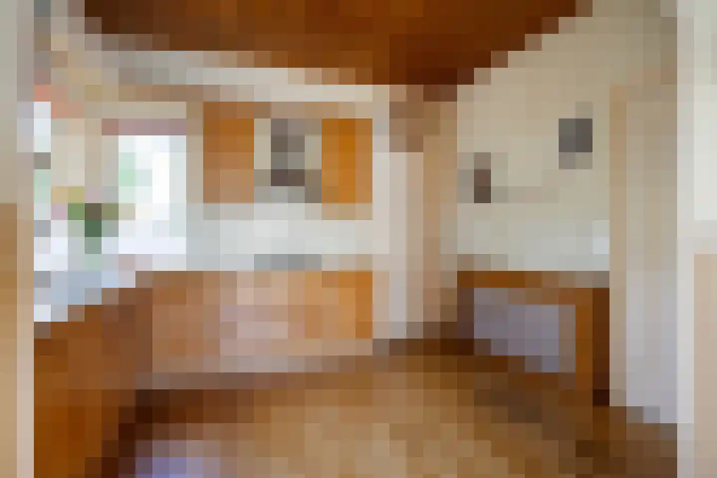 Molenweg 20 Loppersum thumbnail 42