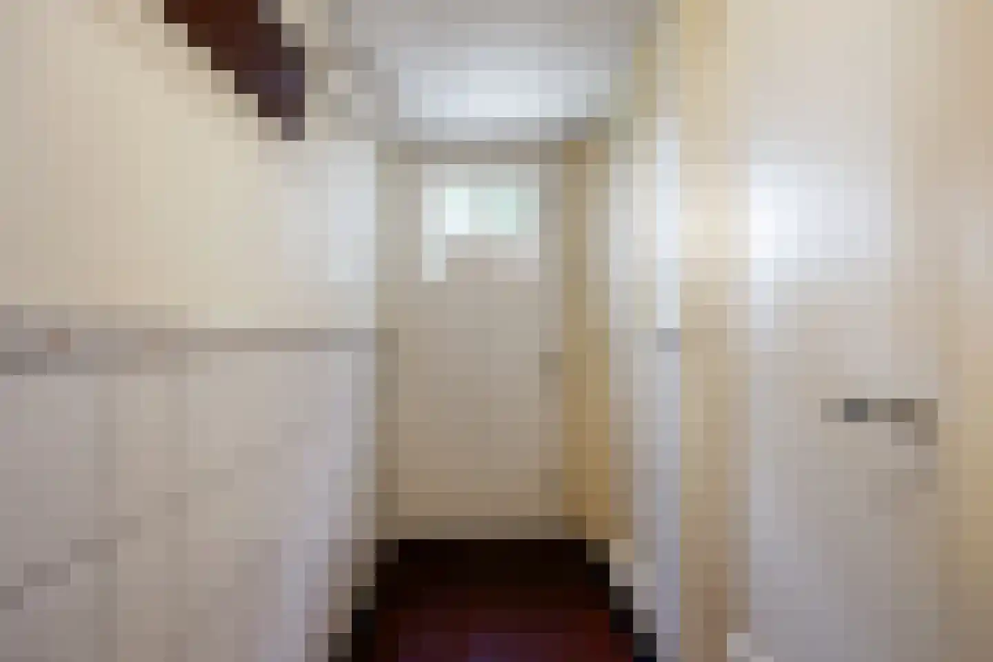 Molenweg 20 Loppersum thumbnail 44