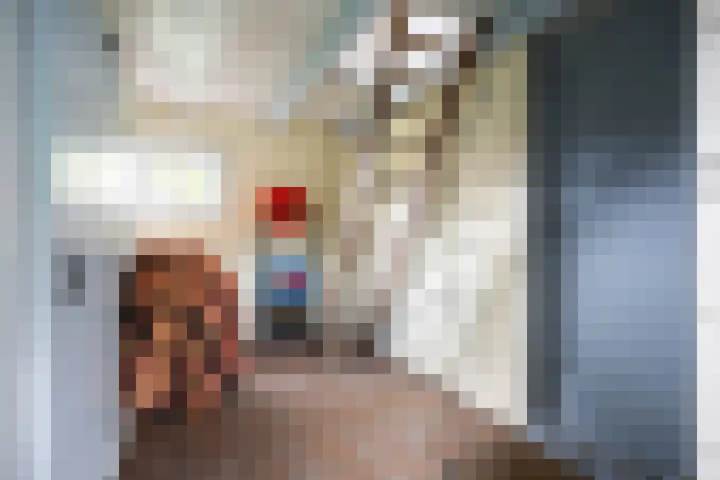 Molenweg 20 Loppersum thumbnail 48