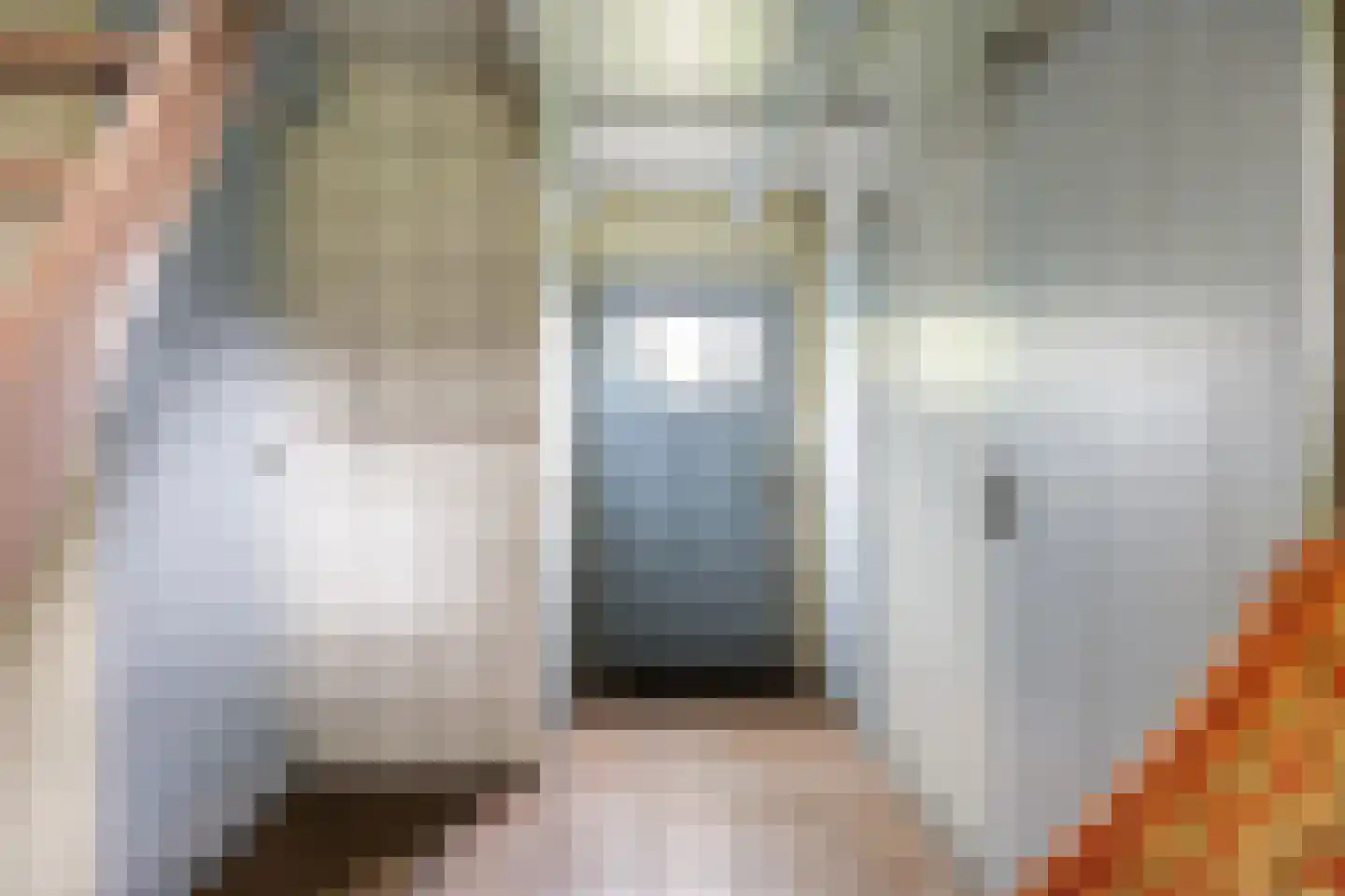 Molenweg 20 Loppersum thumbnail 49