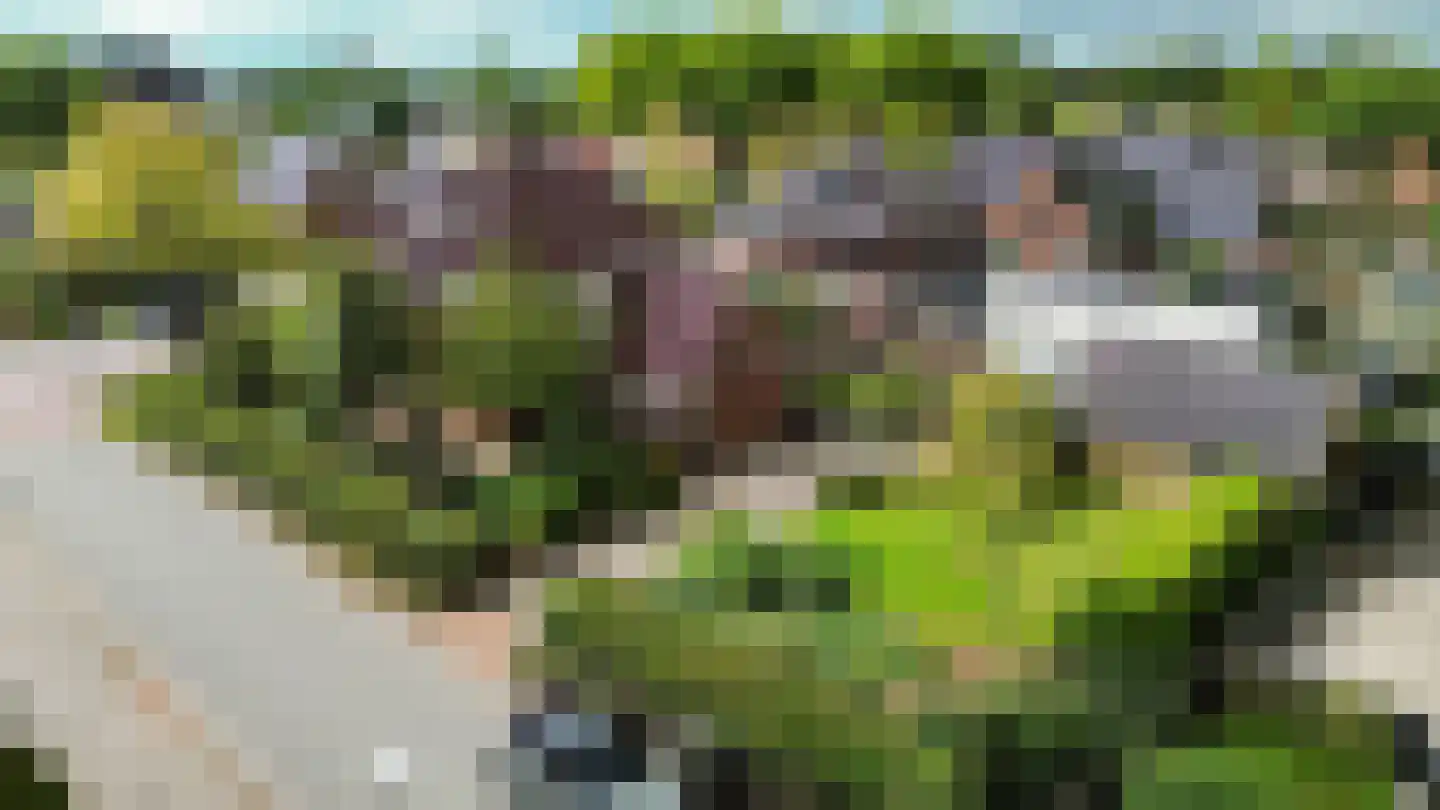 Molenweg 20 Loppersum thumbnail 7