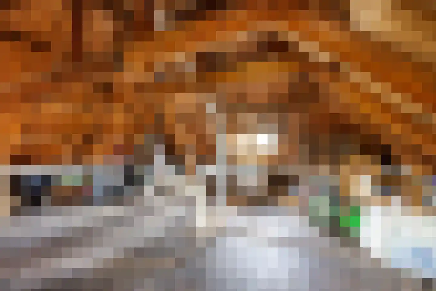Molenweg 20 Loppersum thumbnail 81