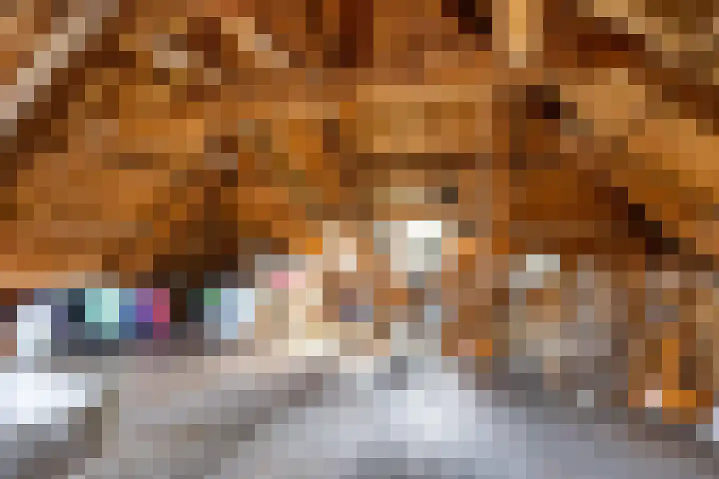 Molenweg 20 Loppersum thumbnail 82
