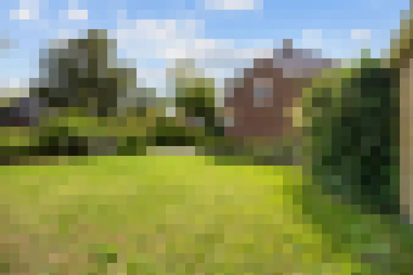 Molenweg 20 Loppersum thumbnail 89