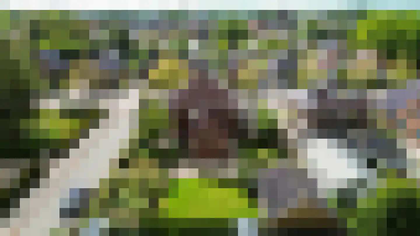 Molenweg 20 Loppersum thumbnail 94