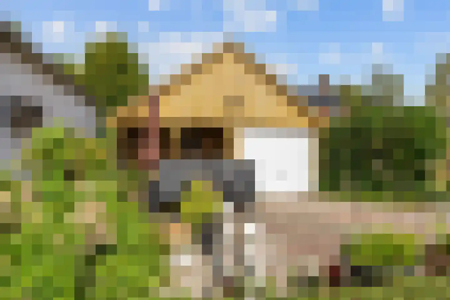 Molenweg 20 Loppersum thumbnail 96