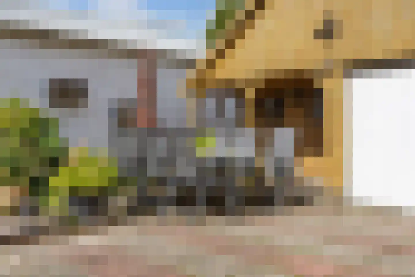 Molenweg 20 Loppersum thumbnail 97