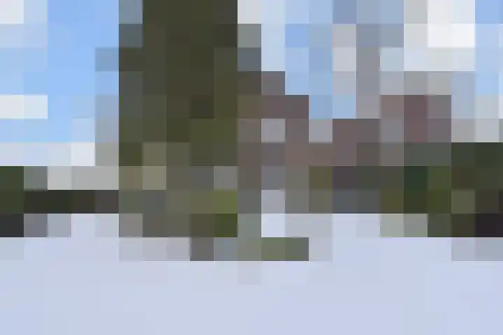 Molenweg 20 Nootdorp thumbnail 23