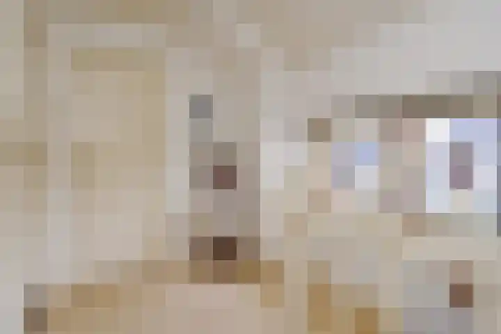 Molenweg 20 Nootdorp thumbnail 24