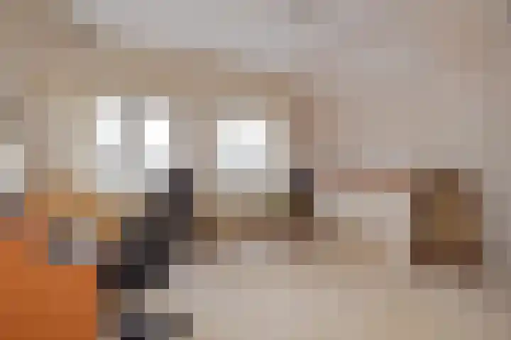 Molenweg 20 Nootdorp thumbnail 27