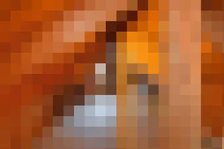 Molenweg 20 Nootdorp thumbnail 36