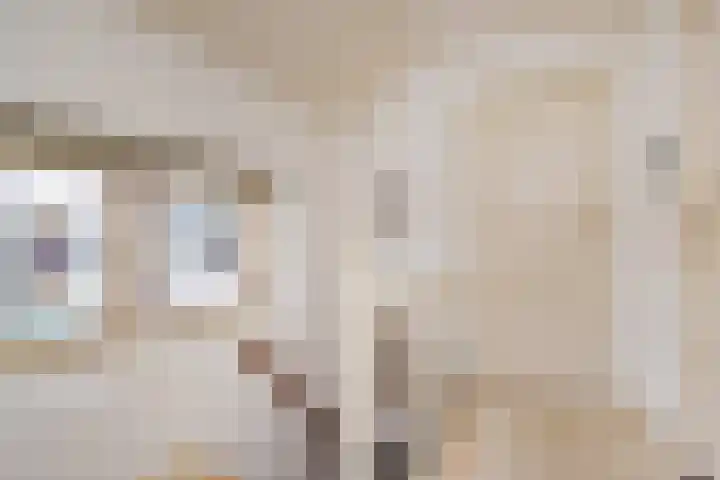Molenweg 20 Nootdorp thumbnail 4