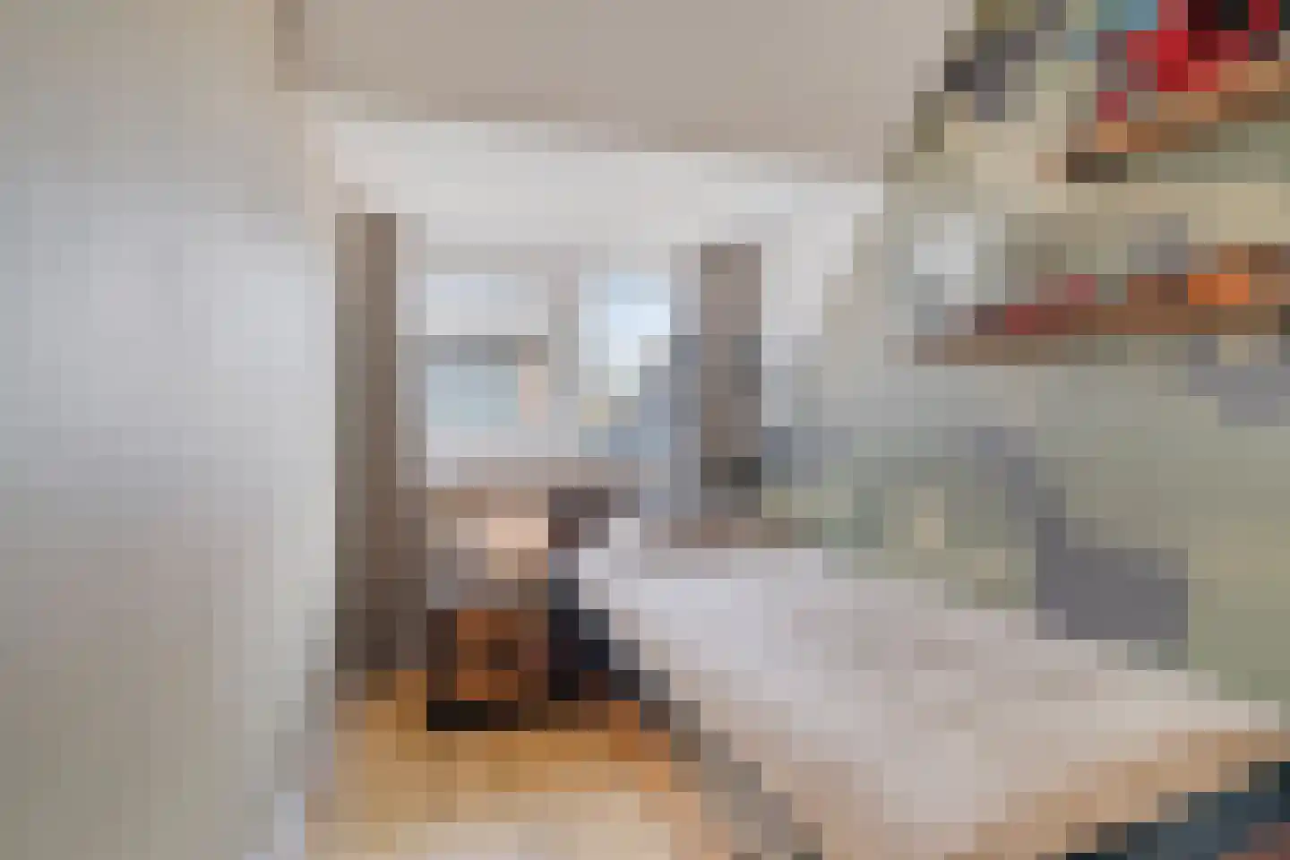 Molenweg 20 Wassenaar thumbnail 18
