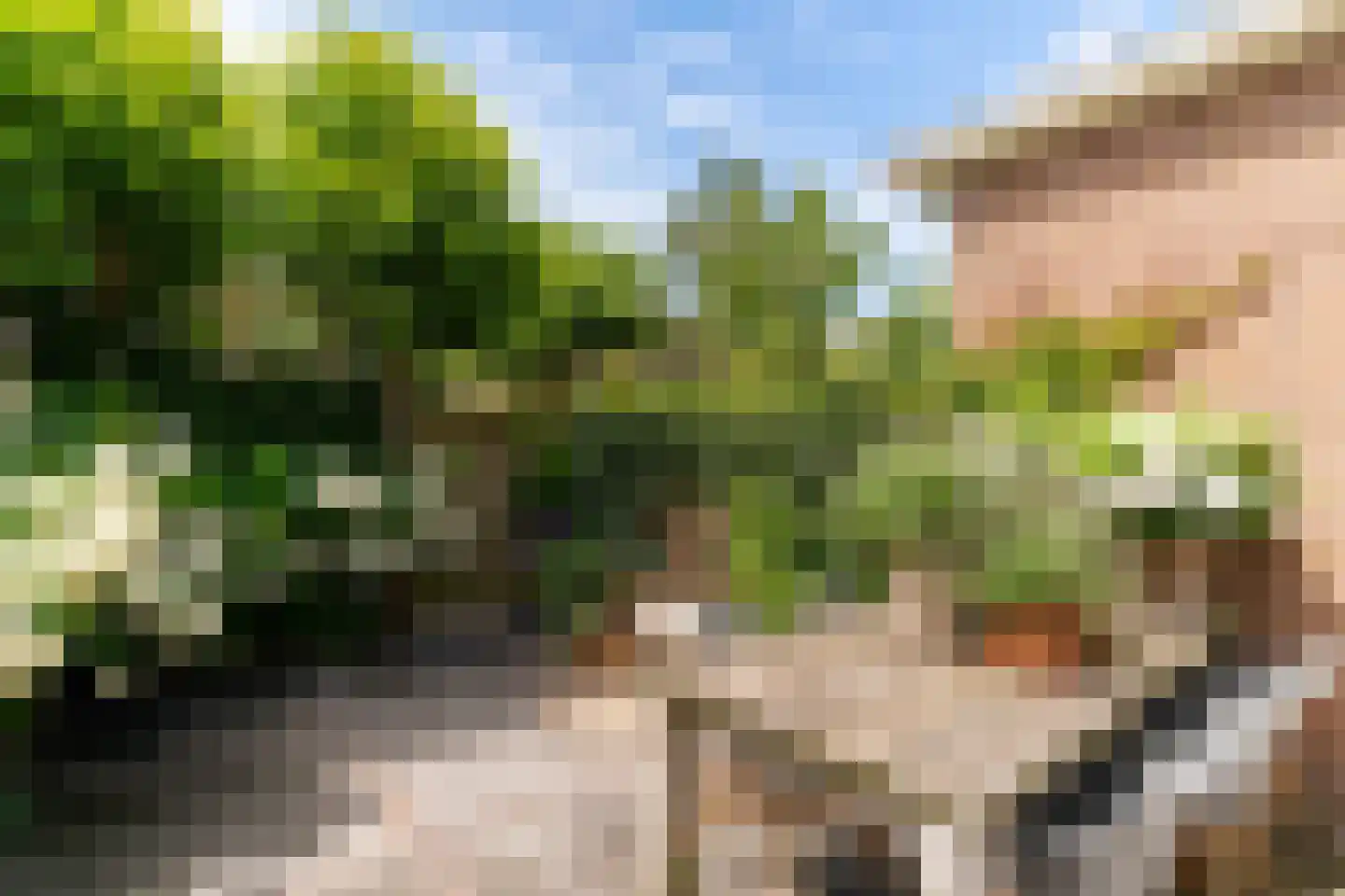 Molenweg 20 Wassenaar thumbnail 21