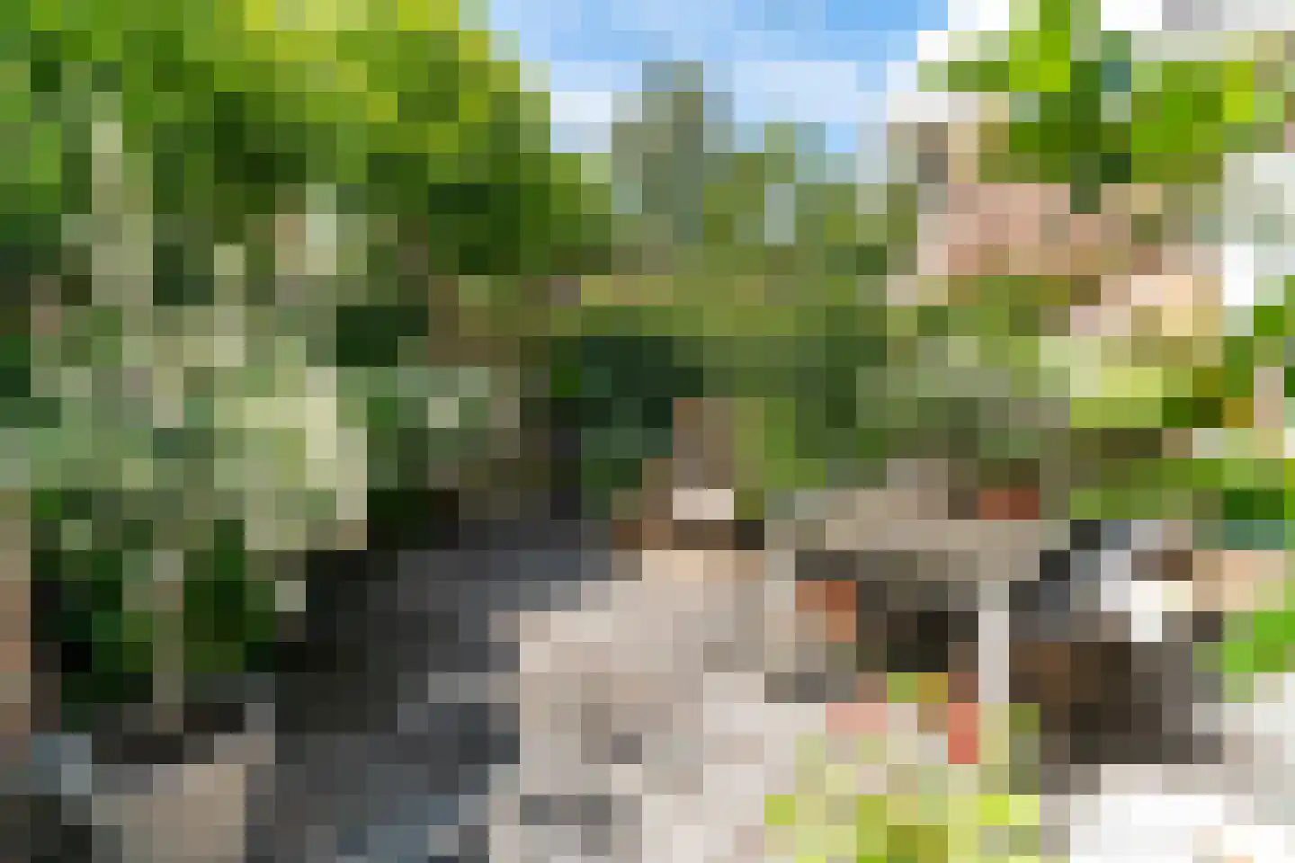 Molenweg 20 Wassenaar thumbnail 23