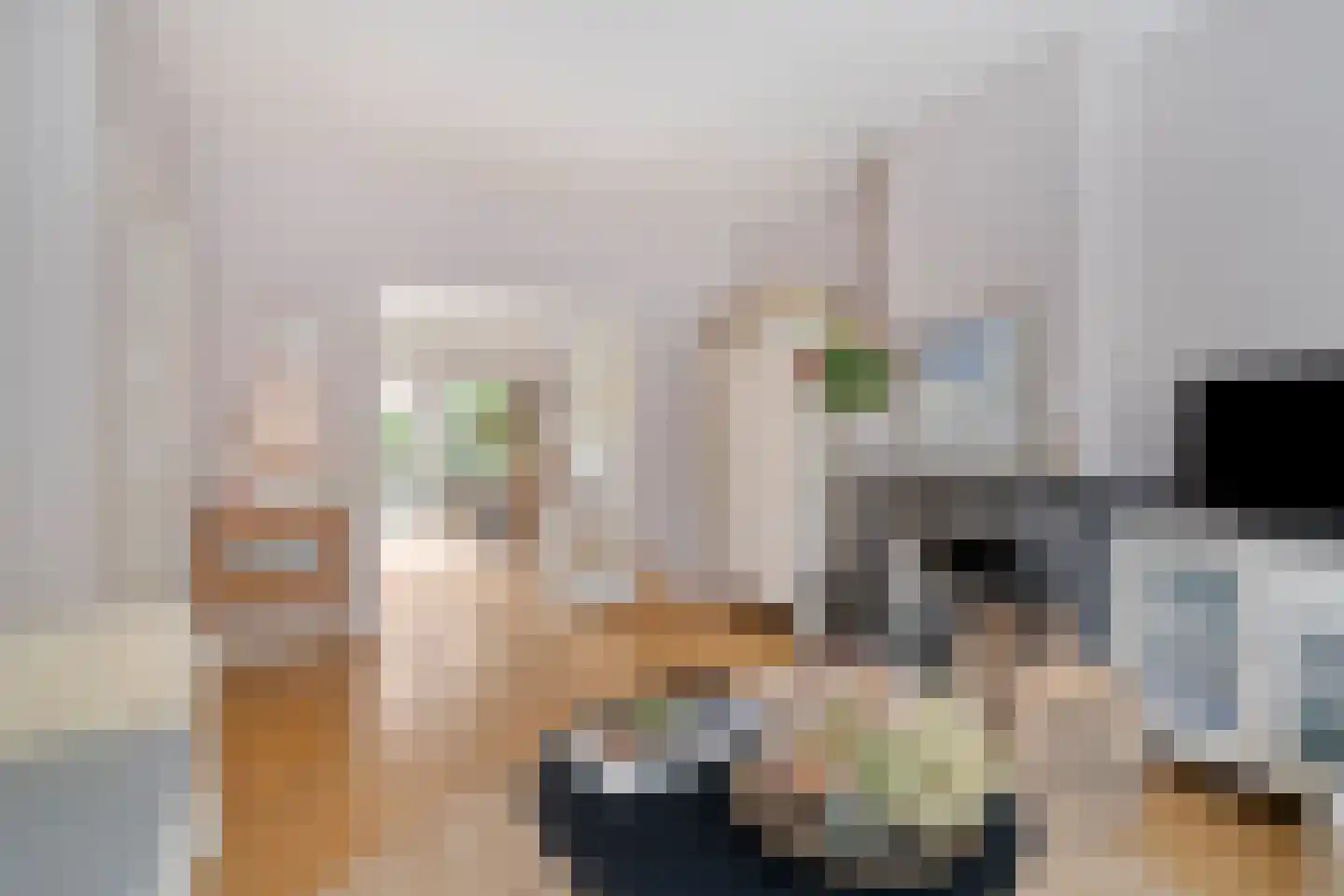 Molenweg 20 Wassenaar thumbnail 5