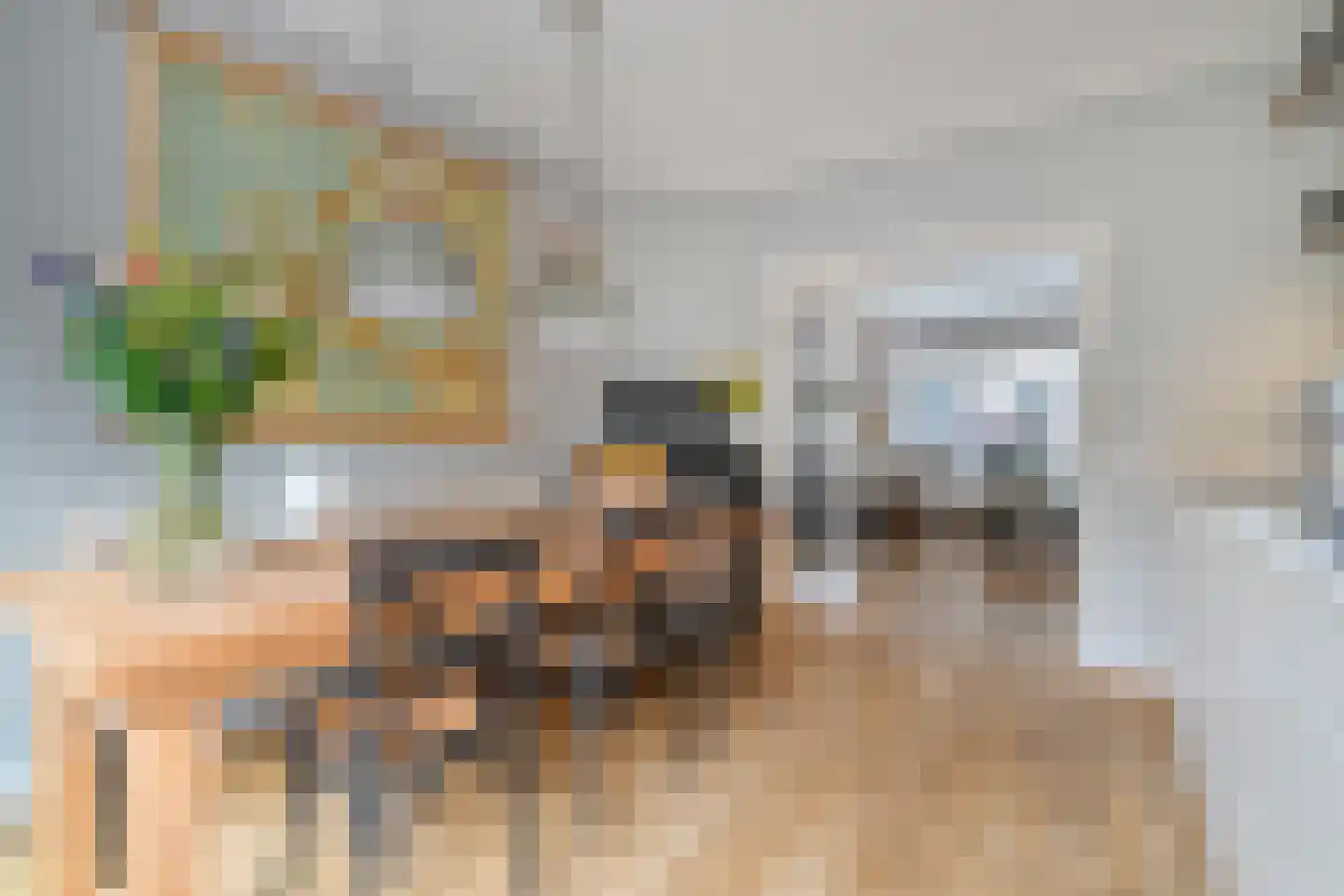 Molenweg 20 Wassenaar thumbnail 7