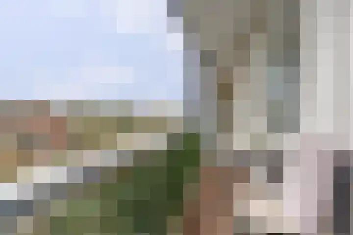 Molenweg 203 Nijmegen thumbnail 21