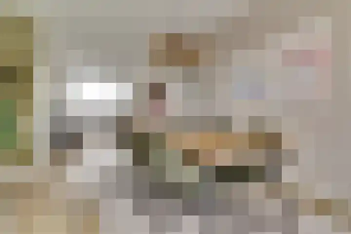 Molenweg 203 Nijmegen thumbnail 8