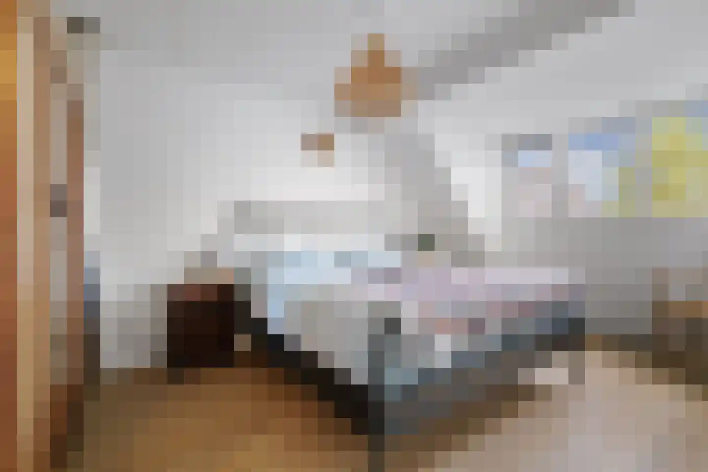 Molenweg 21 A Terwolde thumbnail 19