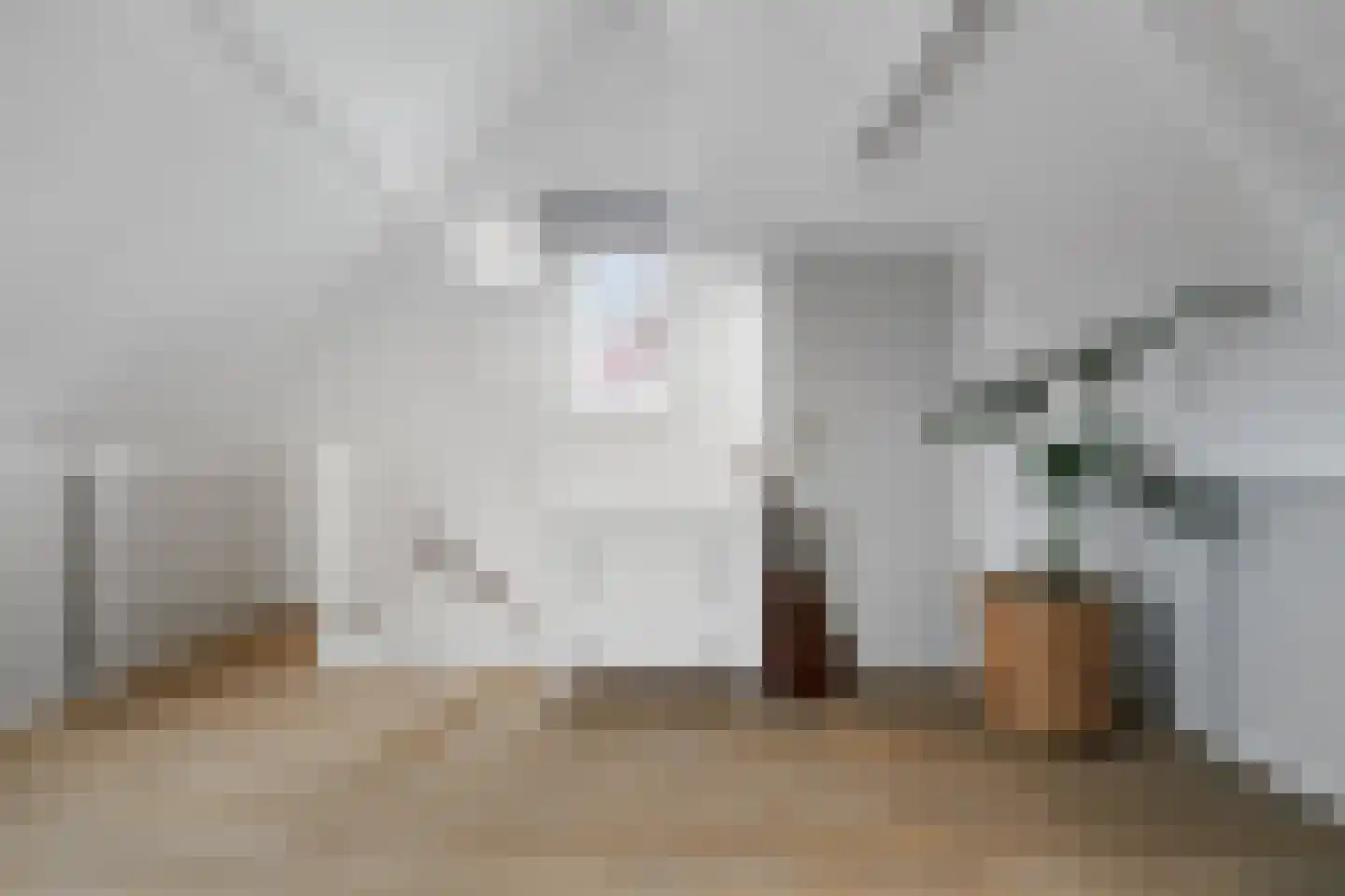 Molenweg 21 A Terwolde thumbnail 26