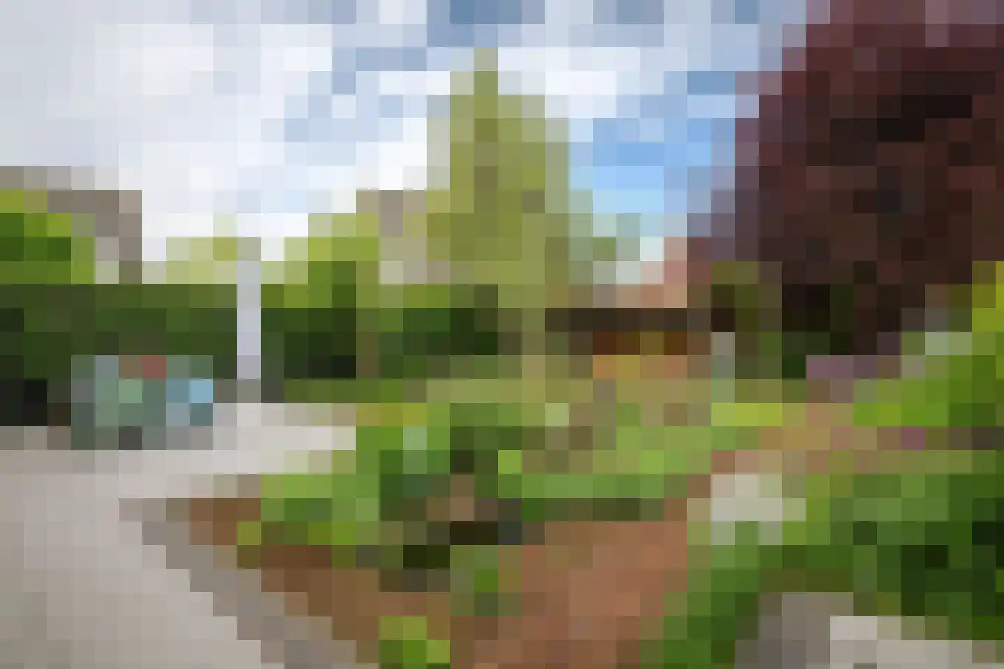 Molenweg 21 A Terwolde thumbnail 31