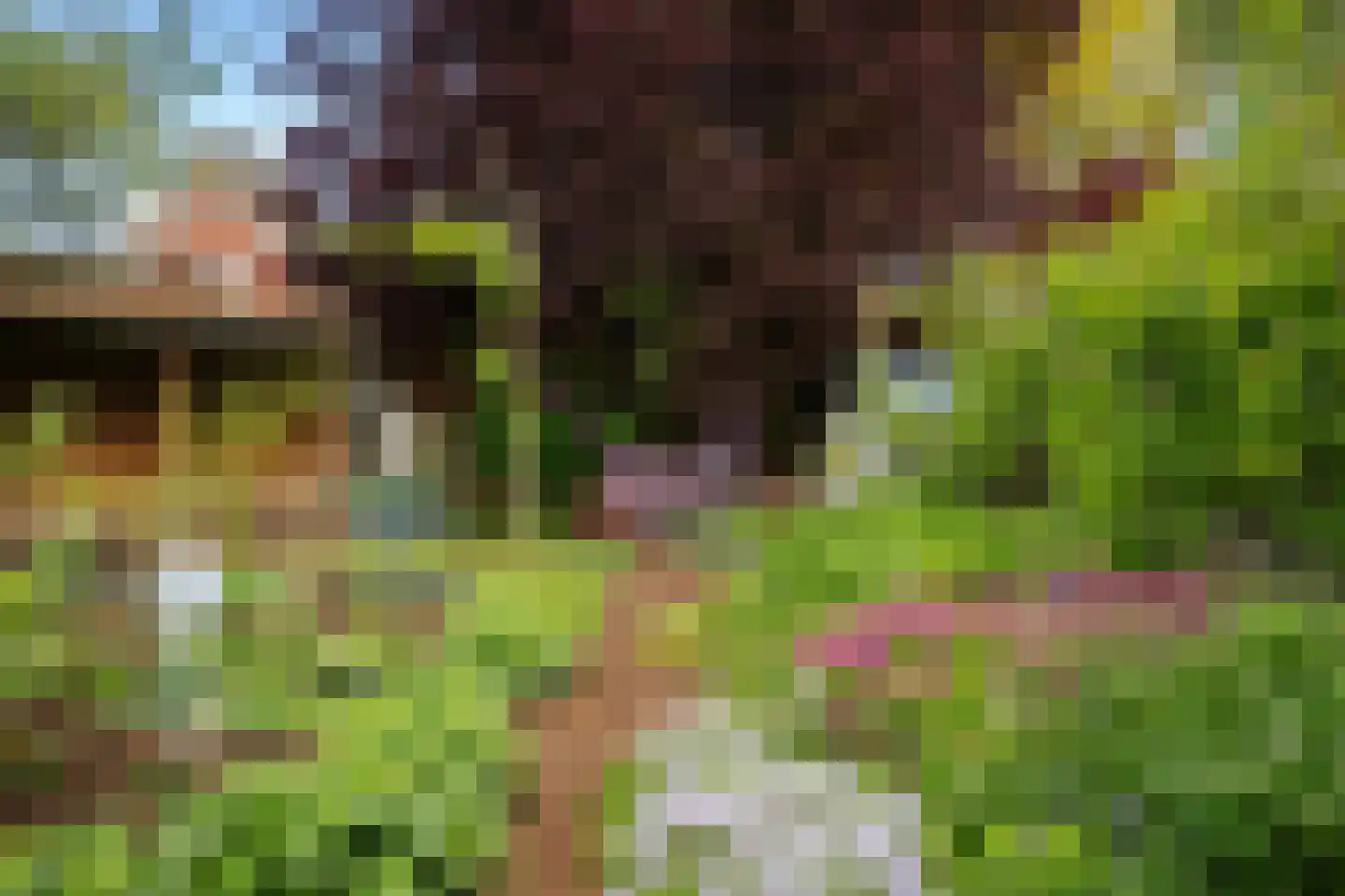 Molenweg 21 A Terwolde thumbnail 34