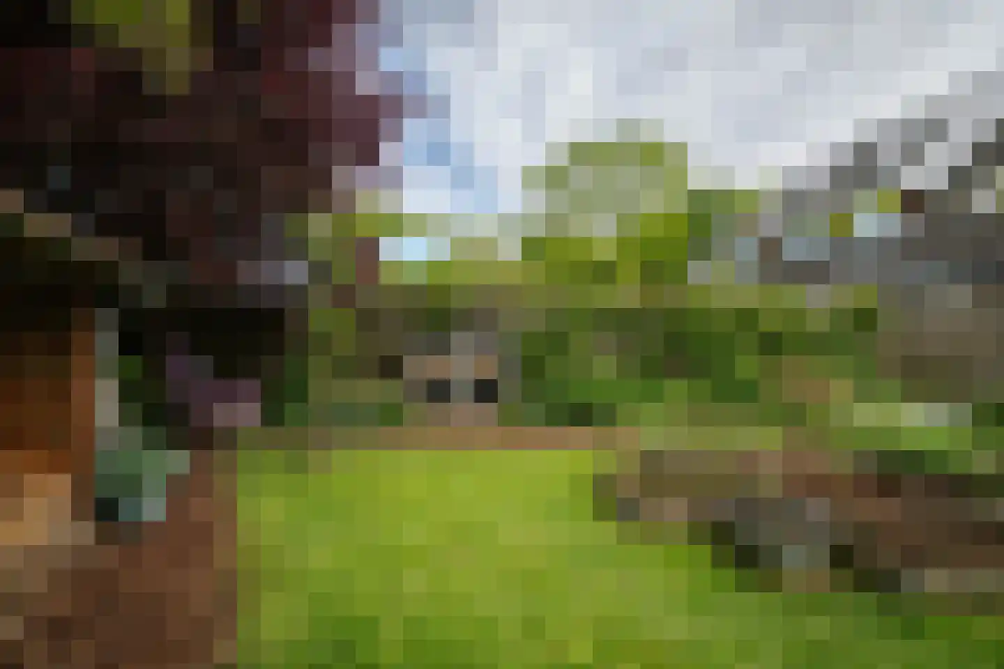 Molenweg 21 A Terwolde thumbnail 36
